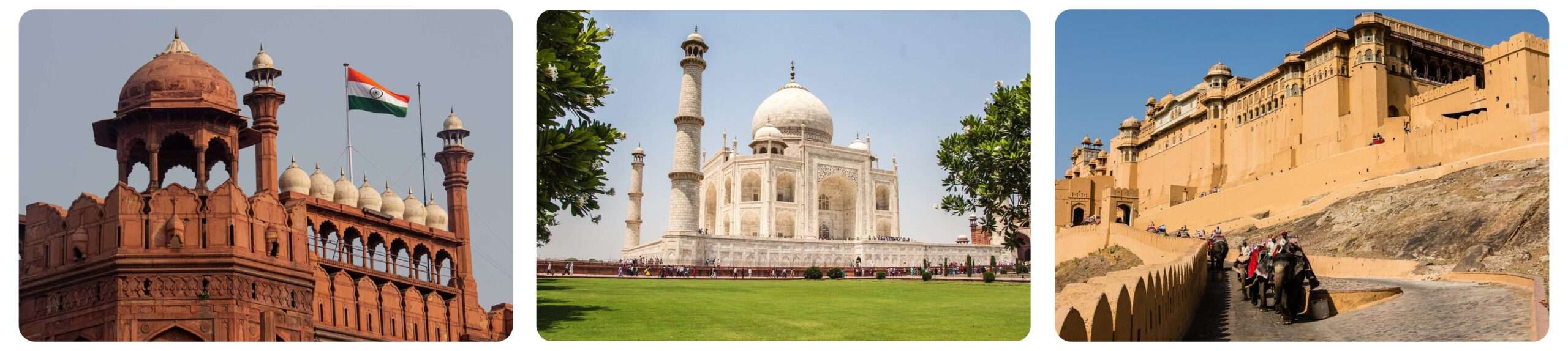 A collage of three images showcasing different architectural styles: The red fort of Delhi, the Taj Mahal of Agra, and the Albert Fort of Jaipur. These are the main attraction point of Golden Triangle Tour Package from Delhi.